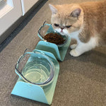 1pcs 15 Degree Adjustable Pet Feeder Bowl Dog Cat Adjustable