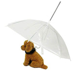 Pet umbrella Small animals The rain